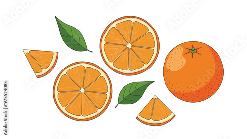 Vibrant collection of whole oranges, half slices, wedges, and green leaves in a detailed flat style on white background.