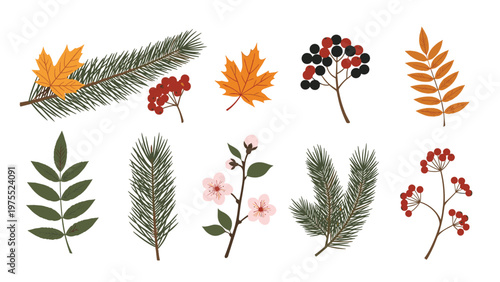 Selection of various autumn-themed botanical elements including maple leaves, red berries, pine branches, and cherry blossoms.