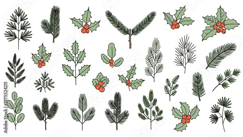 Set of diverse winter botanical elements including evergreen branches holly leaves and red berries for decor.