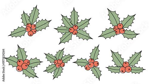 Seven hand drawn holly berry branches with green leaves and red fruit commonly used for traditional Christmas decorations.