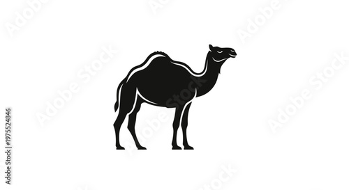 A stark black silhouette of a camel on a plain white background, showcasing its iconic hump and graceful stance