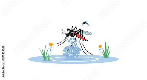 Large mosquito laying clusters of small blue eggs on the surface of a pond with green grass and bubbles.