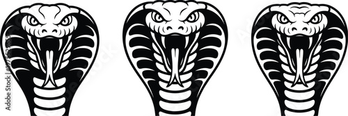 Aggressive king cobra snake head vector illustration collection with open jaws visible fangs and hood spread, monochrome tribal style composition, striking animal mascot artwork for logo icon and 