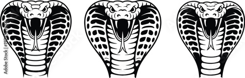 Aggressive king cobra snake head vector illustration set with open mouth fangs and expanded hood, black and white tribal style design, detailed line art for tattoo logo mascot and branding use.