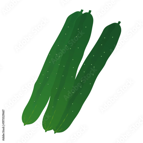 きゅうりのアイコンイラスト