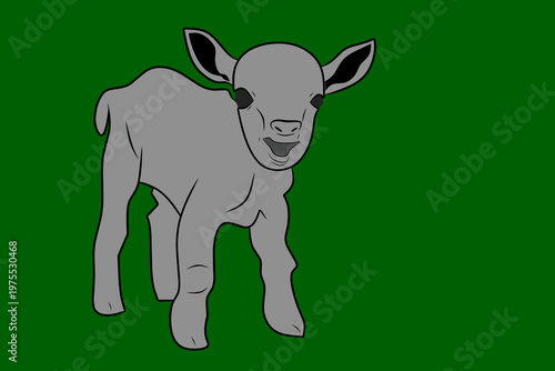 animal vector one white lamb on green background