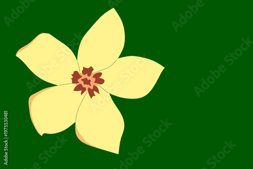Vector illustration of a yellow frangipani flower blooming on a green background