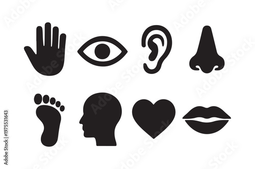 Black silhouette icons depicting human senses hand eye ear nose foot head heart lips