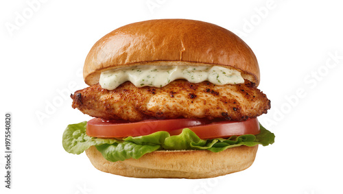 Bild auf Leinwand Juicy grilled chicken breast burger with lettuce tomato and creamy sauce, isolat