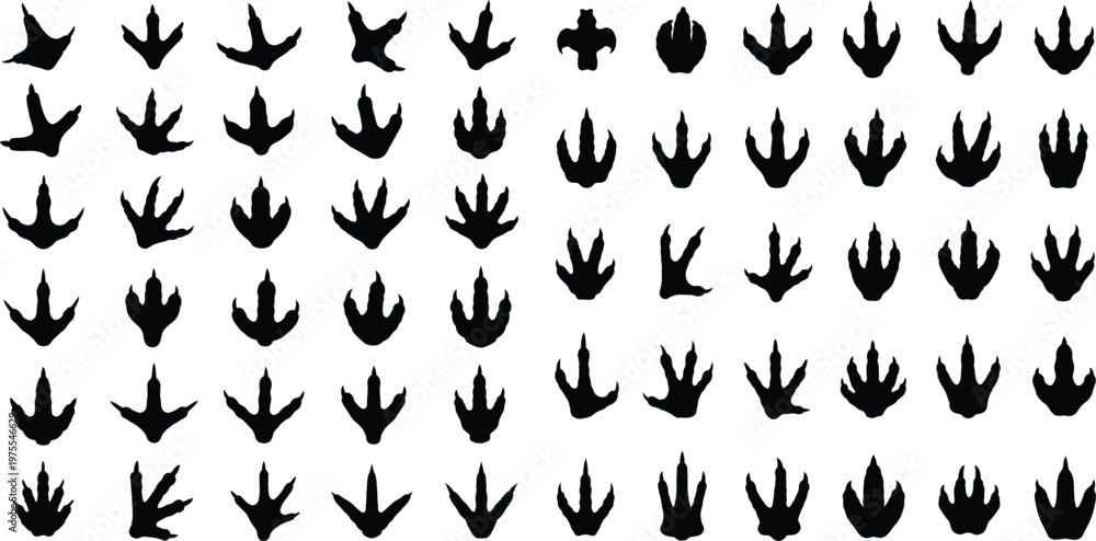 Obraz premium Various black silhouettes of diverse bird footprints and tracks showing different avian walking patterns
