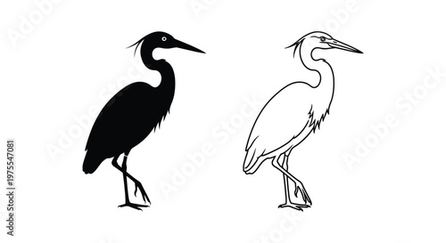Black and White Heron Silhouettes Illustration Vector