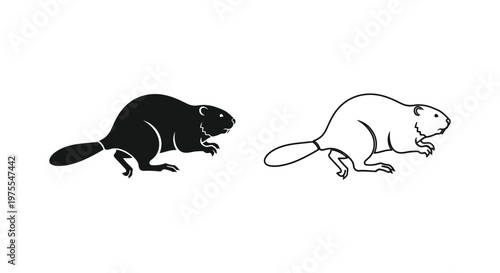 Beaver vs Rodent Identifying Key Differences Vector