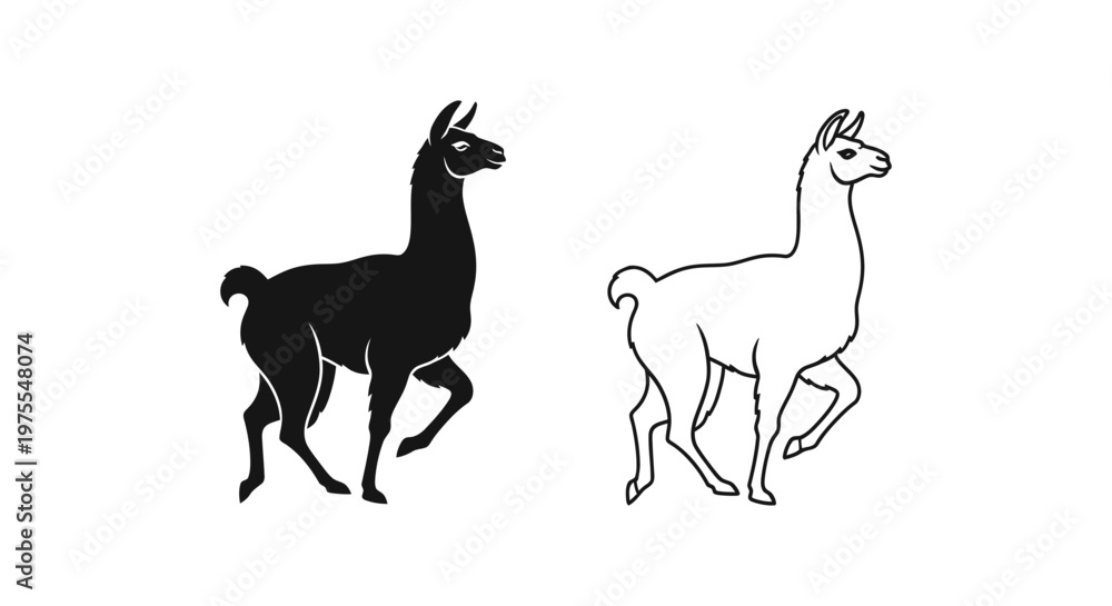 Naklejka premium Llama vs Alpaca Distinctive Camelid Silhouettes Vector