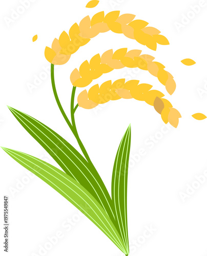 お米の収穫、稲穂のイラスト