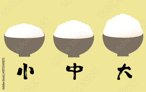 お茶碗に盛られた炊き立てのごはん　ご飯の量