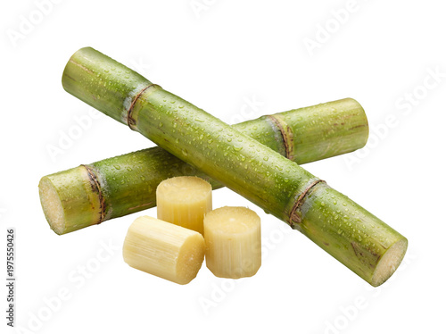 Fresh Sugarcane Stalks and Cut Pieces Isolated on Transparent Background