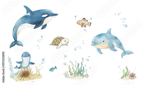 海の生き物セットイラスト