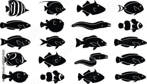 Diverse Collection of Tropical Sea Fish Silhouettes Featuring Clownfish Pufferfish Angelfish and Moray Eels for Underwater Marine Life and Ocean Protection Designs