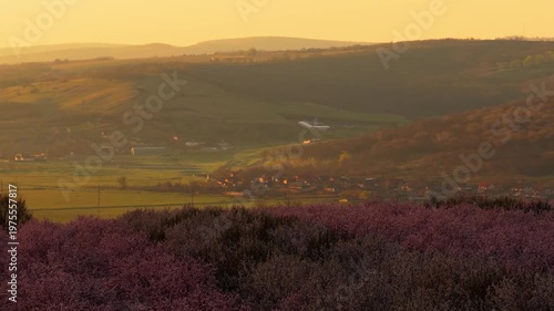 Side Aerial Movement Over Blooming Orchard with Village in Warm Sunrise Light
