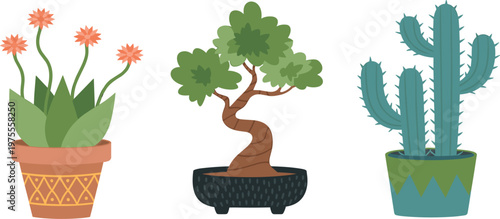 Decorative houseplants bundle featuring blooming plant bonsai and cactus in pots
