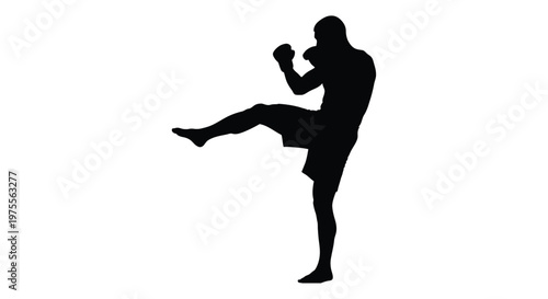 Silhouette of a martial artist executing a dynamic roundhouse kick against a white background