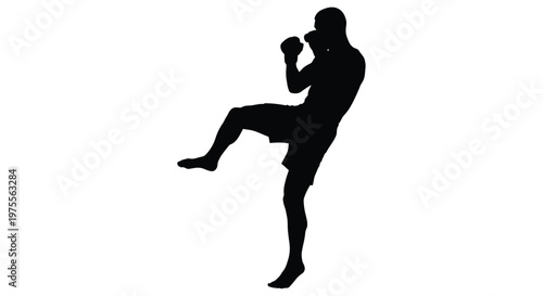 Silhouette of a martial artist executing a dynamic kick against a white background