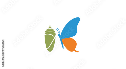 Minimalist Colorful Illustration Depicting a Butterfly's Metamorphosis Process
