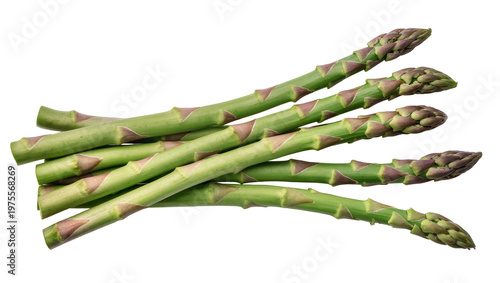Fresh green asparagus spears with purple tips, isolated on transparent background