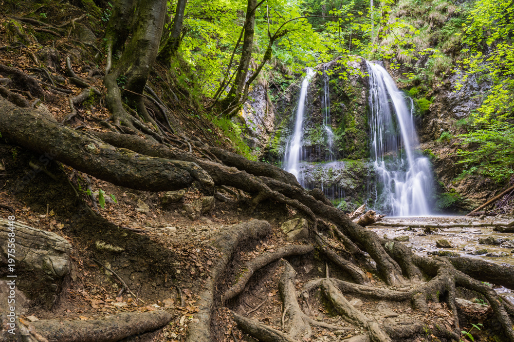 Fototapeta premium Scenic waterfall in lush green forest with rocky riverbed in summer morning in Bavaria Germany 