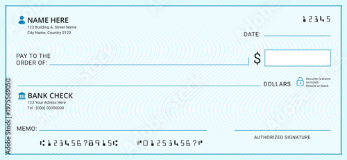Blank bank cheque. Professional bank check layout for payment. Business or personal account cash pay cheque certificate or pay check coupon from check book, money check