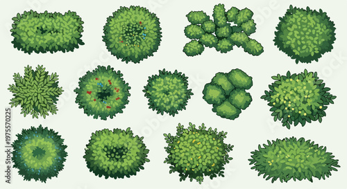 Top view landscape trees and bushes, 13 green plant symbols for site planning, garden map vector icons, architectural vegetation elements