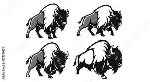 Four Bison Illustrations in Black and White, Majestic Wildlife Art.