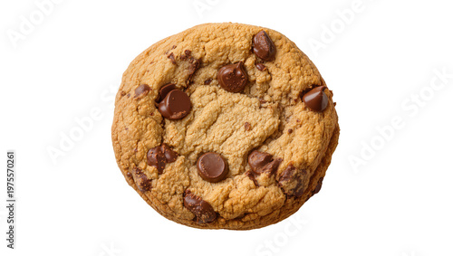 Round chocolate chip cookie with rich dark chocolate chunks, isolated on transparent background