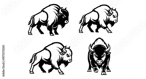 Four Bison Illustrations in Black and White.