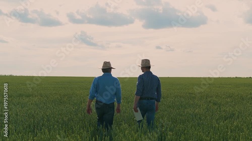 Two farmers walking in a green wheat field, Farmers inspecting crops together, Agricultural teamwork in the countryside, Rural scene with farmers and crops, Field workers discussing harvest