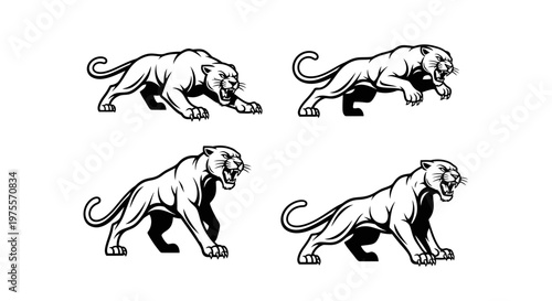 Four Black Panther Illustrations in Various Poses, Ready to Pounce.
