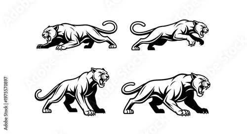 Four Black Panther Illustrations in Various Poses.