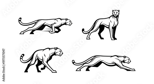 Four dynamic panther illustrations showcasing strength and agility in monochrome.
