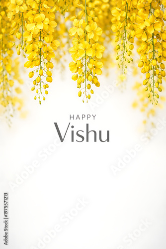 Elegant white background featuring happy vishu text and hanging yellow cassia fistula flowers representing the traditional celebration of the malayalam new year and hindu festivals
