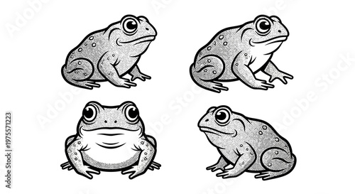 Four Frogs in Various Poses, Hand-Drawn Illustration.