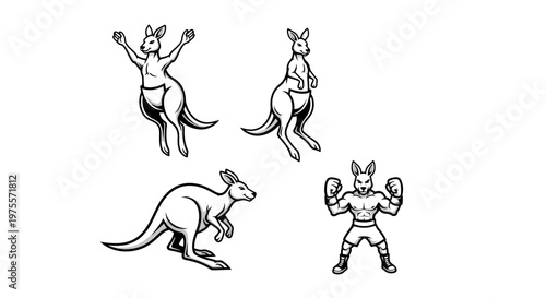 Four Kangaroos in Various Poses - Jumping, Standing, and Boxing.