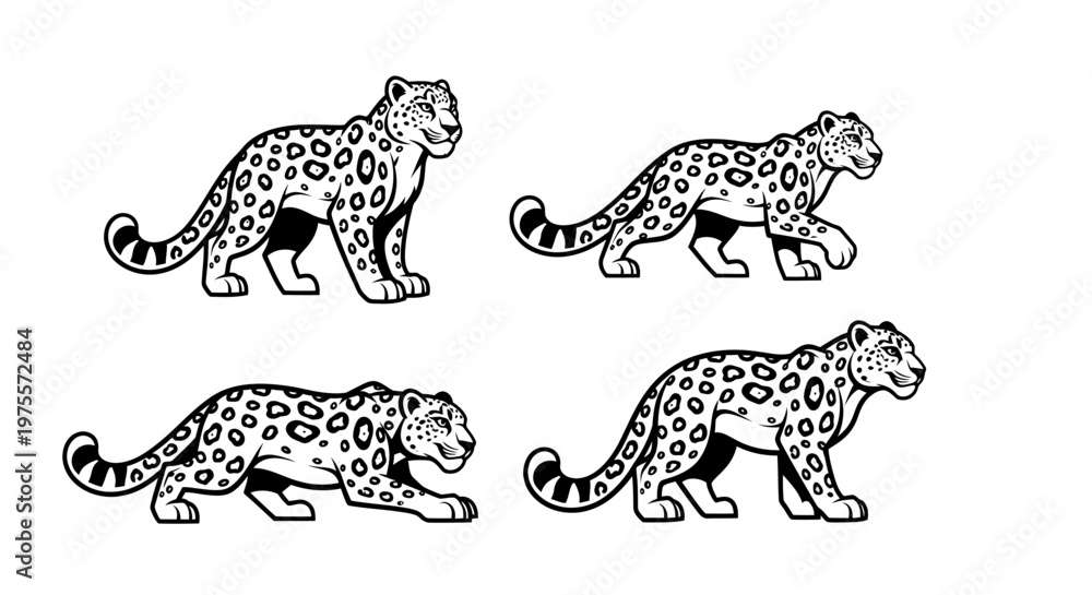 Fototapeta premium Four Snow Leopards in Various Poses Black and White Illustration.