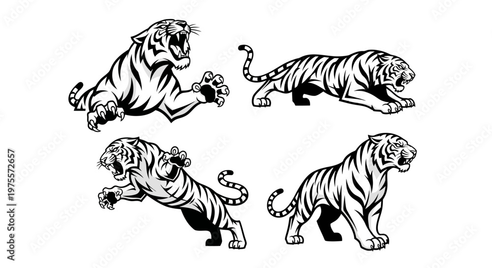 Obraz premium Four Striking Black and White Tiger Illustrations in Dynamic Poses.