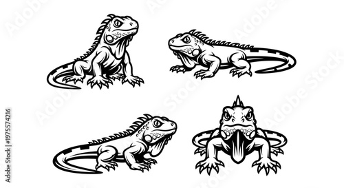 Iguana Illustrations - A Collection of Reptilian Designs in Black and White.
