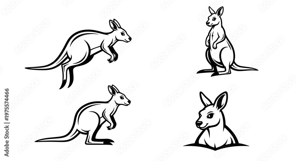 Fototapeta premium Kangaroo Illustrations - A Collection of Australian Wildlife Art.