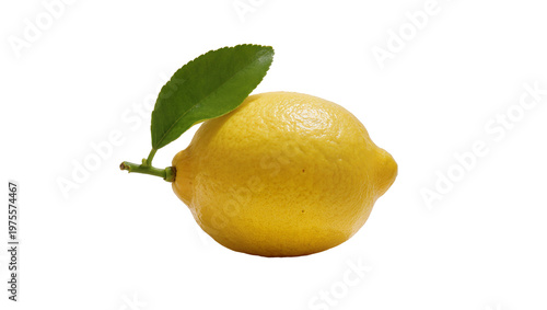 Single ripe yellow lemon with green leaf and stem, isolated on transparent background