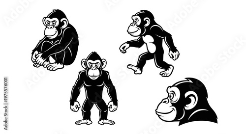 Monochrome Chimpanzee Illustrations - Seated, Walking, Standing, and Profile Views.
