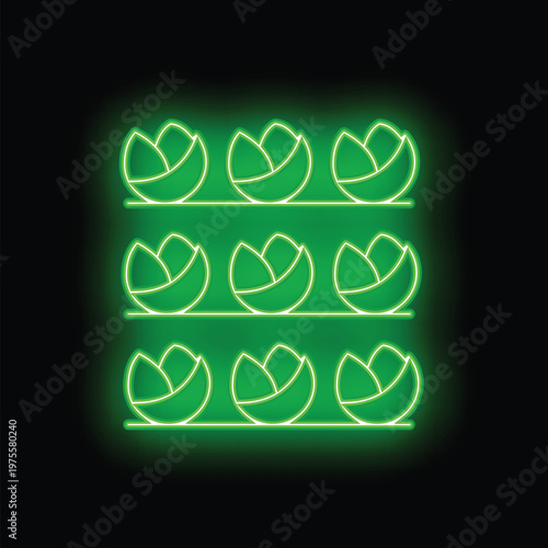 Green neon sign of fresh cabbage growing on shelves, vertical farming and healthy food concept