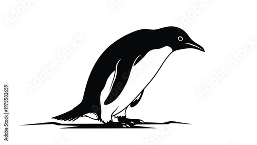 Minimalist black and white silhouette of an adorable penguin standing on a snowy surface ground