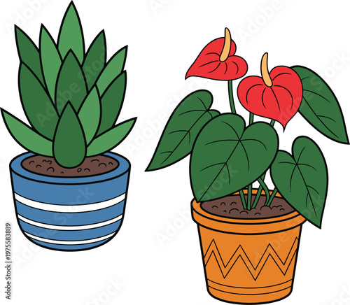 Potted houseplants with succulent and anthurium flowers decorative indoor plant illustration